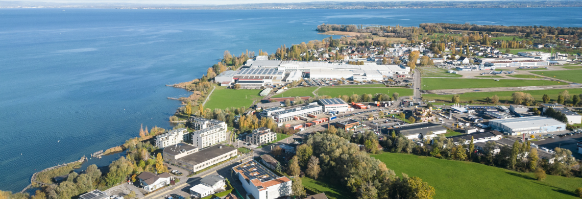 Luftbild mit Bodensee bei Altenrhein